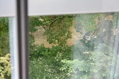 a window with a view of a tree at Severn Up in Newtown