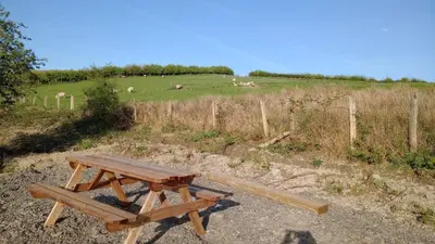 a picnic table in a field with sheep in the background at Chandler Ranch Llandovery Cynghordy in Cynghordy