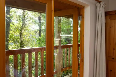 a door leading to a balcony with trees at Robins Perch Eco Lodge Apartment Lampeter in Lampeter