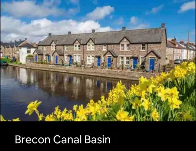 a row of houses with yellow flowers next to a river at Kookaburra Cottage in Brecon