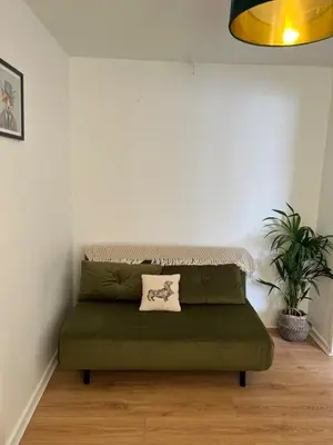 a green couch in a room with a plant at Mountain View, Brecon Beacons
