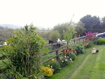 a garden with flowers and a fence with a horse at Five Saints Farmhouse B&B in Pumpsaint
