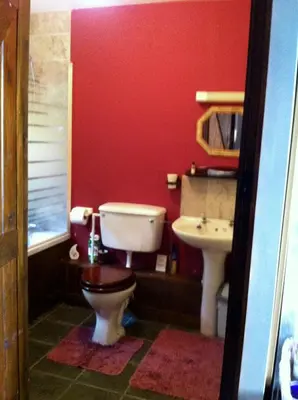 a red bathroom with a toilet and a sink at Five Saints Farmhouse B&B in Pumpsaint