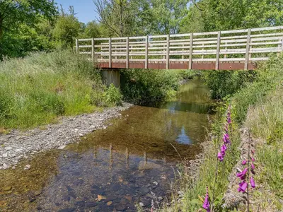 a bridge over a river with purple flowers on the side at The Old Cowsheds 5 - Llanilar - Uk49790 in Cribyn