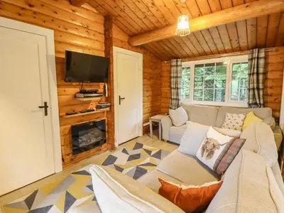 a living room with a couch and a tv and a fireplace at Swn Yr Afon - No 333 in Trawsfynydd
