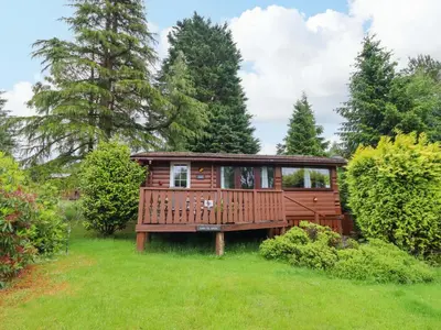 a tree house with a deck in the grass at Swn Yr Afon - No 333 in Trawsfynydd