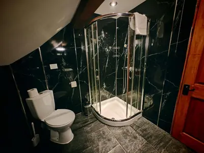 a bathroom with a toilet and a glass shower at One-Bedroom Cottage in Snowdonia National Park in Dolgellau
