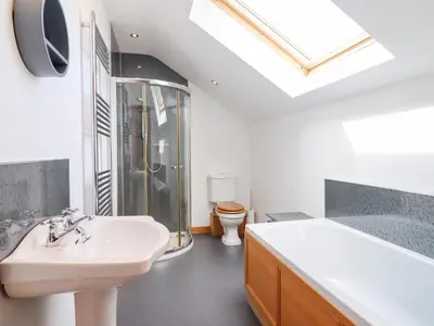a bathroom with a sink and a shower and a toilet at Gwernffridd in Llanbrynmair