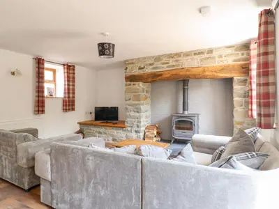 a living room with two couches and a stone fireplace at Gwernffridd in Llanbrynmair