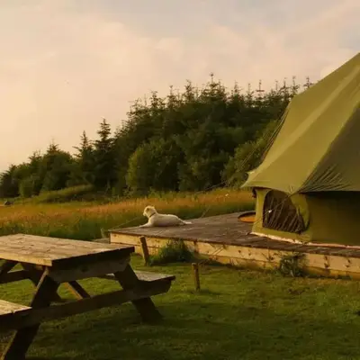 Glamping Pod - Sleeps 2 - Pets - Parking - Wifi