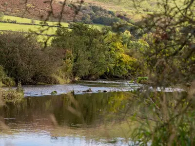 a view of a river with trees and a field at Bwthyn Bach Brefi in Tregaron