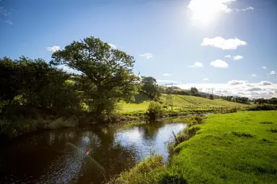 a river with a tree in the middle of a field at Bwthyn Bach Brefi in Tregaron
