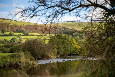 a river with a group of ducks in the water at Bwthyn Bach Brefi in Tregaron