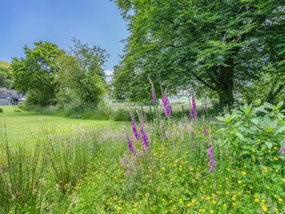 a field of flowers with a tree in the background at The Old Cowsheds 2 - Shippon - Uk49787 in Cribyn
