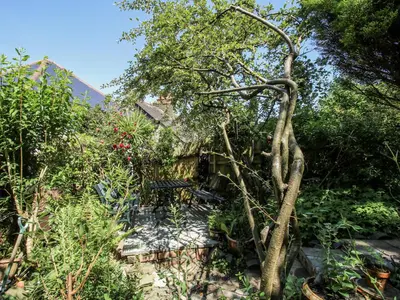 a garden with a tree next to a building at 157 Watling Street South in Church Stretton