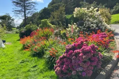a garden with colorful flowers in the grass at Ty Ffarm, Gogarth