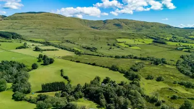 an aerial view of a green hillside with trees at Ty Neuadd in Dolgellau