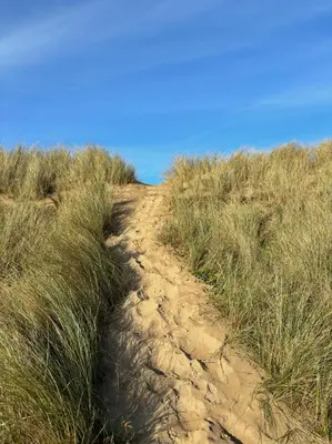 a dirt path through some tall grass on a field at Sanderling, 289 Ynyslas Beach, Borth in Borth