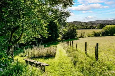 a wooden bench sitting in the grass next to a fence at Gwanas Fawr in Dolgellau