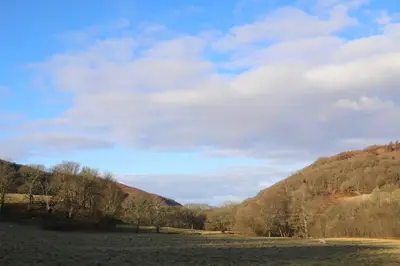 a field with trees and a hill in the background at Woodcutters' Cabin Authentic Log Cabin Talybont Aberystwyth SY245DW in Aberystwyth