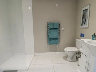 a bathroom with a toilet and a shower and a sink at Little Penrhosgoch Barn in Llandrindod Wells