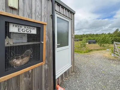 a chicken in a cage in the window of a building at The Hedgehog Pod - Uk50067 in Welshpool