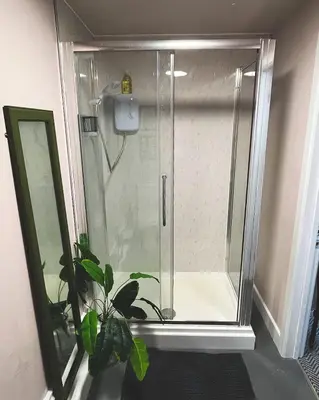 a shower with a glass door next to a plant at Bala Suite at pen Y Coed Hall in Dolgellau