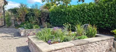 a garden with flowers in a stone wall at The Wain House at Brinsop in Hereford