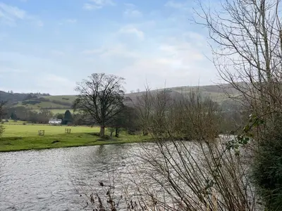 a view of a river with trees in the foreground at Swan Cottage in Carrog