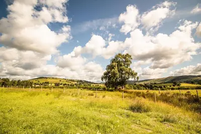 a tree in a field under a cloudy sky at Daverneithon 4 in Rhayader