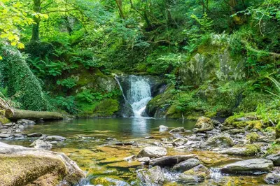 a waterfall in the middle of a stream in a forest at 3 Bed in Tywyn oc-b32570 in Llangelynin