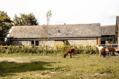 a group of horses grazing in a field in front of a barn at Wyns Barn in Rhayader
