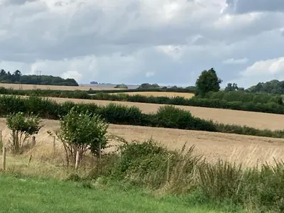 a field of grass with trees in the middle at Tick Bridge cabin in Lyonshall