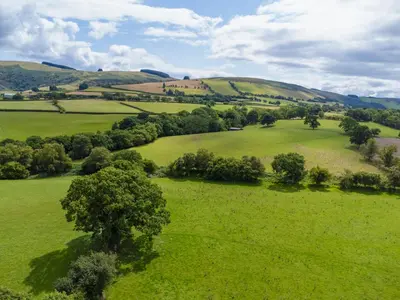an overhead view of a green field with trees at Pod2 - Powys River Pods - Pet Friendly Glamping Pod Builth Wells Powys Wales in Garth