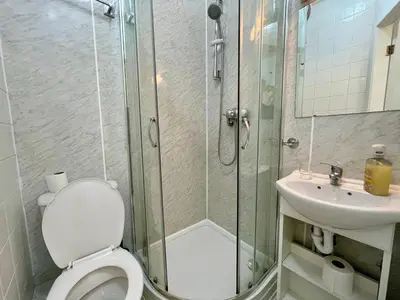 a bathroom with a shower and a toilet and a sink at Cranwell Court in Aberystwyth