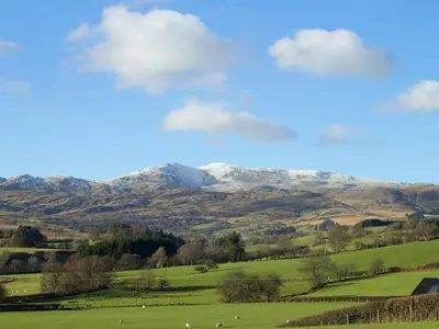 a green field with sheep and mountains in the background at Cyffdy Cottage - Aran in Bala