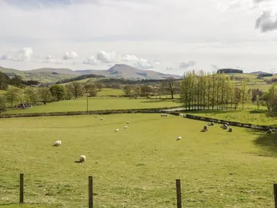 a herd of sheep grazing in a green field at Cyffdy Cottage - Tegid in Bala