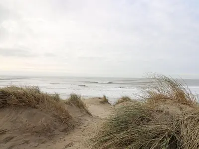 a sandy beach with grass and the ocean at Rydlan in Aberystwyth