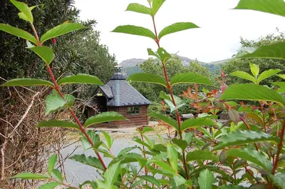 a small wooden building with a black roof at Fegla Fawr - Rustic, rural farmhouse near Barmouth in Arthog