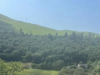 a lush green hillside with a house in the middle at Forest View Annexe in Ponterwyd