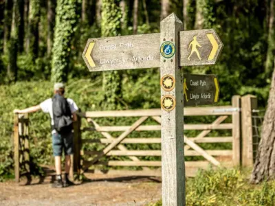 a man standing next to a wooden sign on a trail at 2 Bed in Defynnog oc-t32724 in Sennybridge