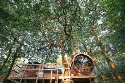 a tree house with a mirror in front of it at Clogau Tree House Hot tub &sauna in Penmaenpool