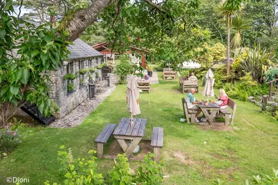 two people sitting at a table in a garden at Bodelen in Llanbedr