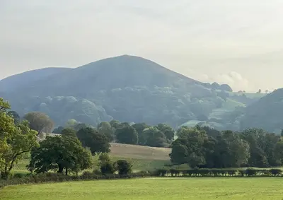a field with trees and a mountain in the background at Courtyard Cottage in Church Stretton