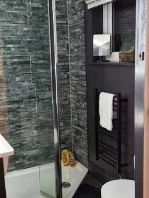 a bathroom with a shower and a toilet and a sink at Rustic Welsh cottage in Llanwrtyd Wells