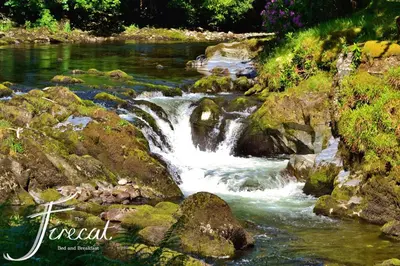 a river with a waterfall in the middle of it at The Firecat Country House Guesthouse in Mallwyd