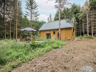 a wooden building in the middle of a forest at The Barn in Bishops Castle