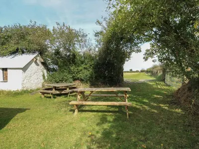 two picnic tables in the grass under a tree at Llainorfa in New Quay
