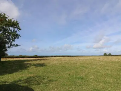 a field of grass with a tree in the middle at Llainorfa in New Quay