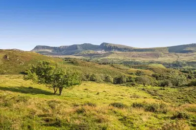 a tree in a field with mountains in the background at 2 Bed in Islawrdref oc-w33317 in Penmaenpool